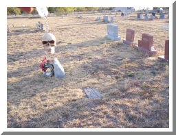 Post Oak cemetery.JPG