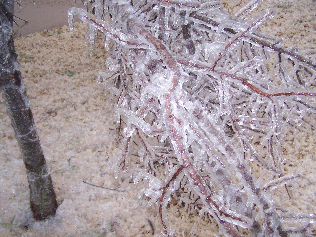 icestorm08.jpg