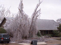 icestorm05.jpg