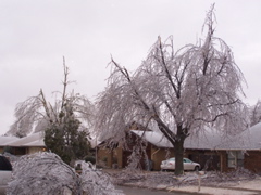 icestorm06.jpg