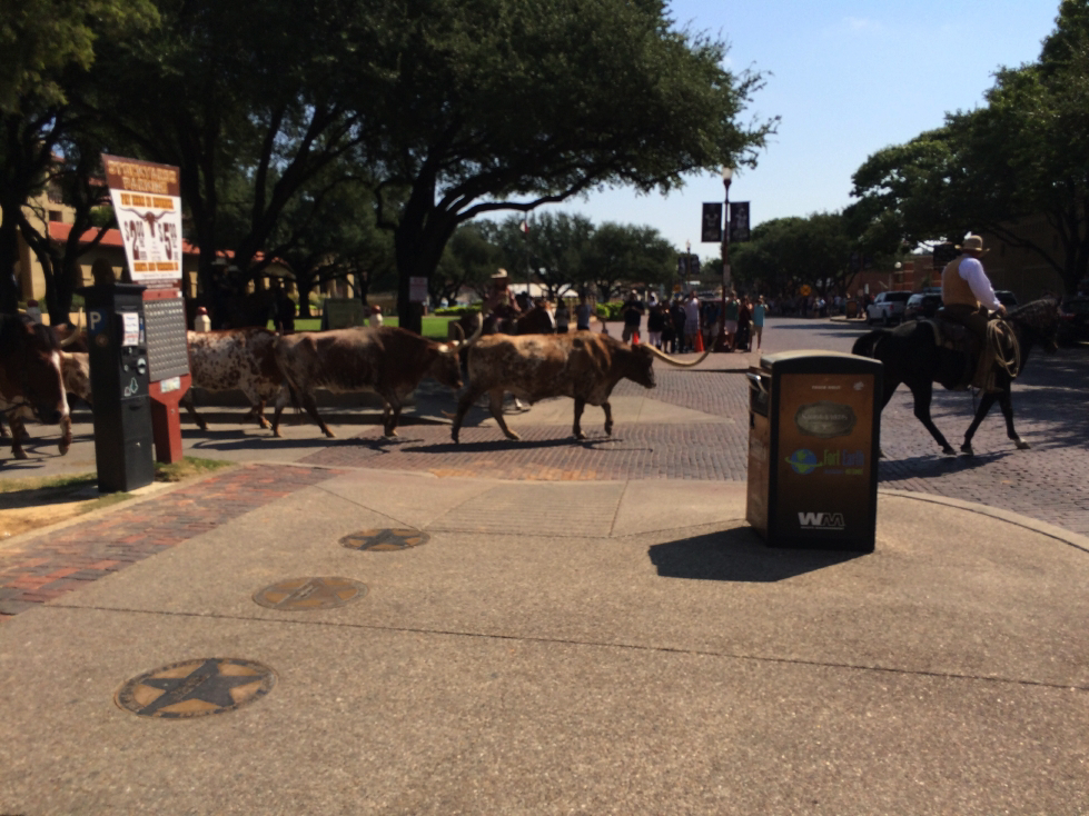 stockyards03.jpg