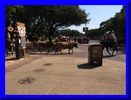 stockyards03.jpg