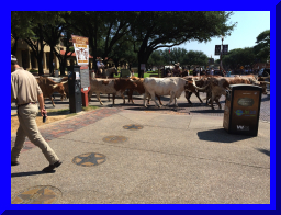 stockyards04.jpg