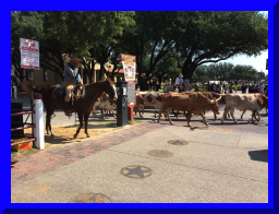 stockyards05.jpg