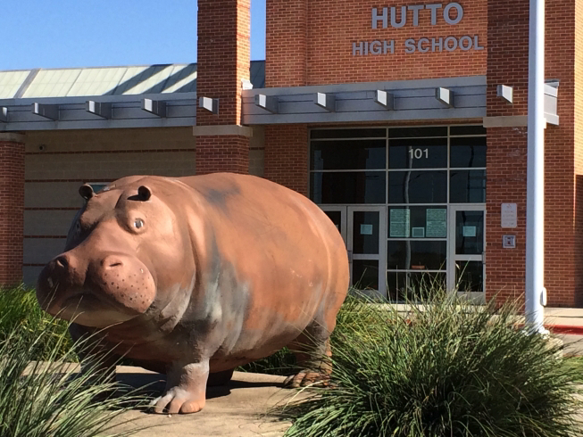 hutto hippos.jpg