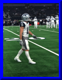 Cole Beasley.jpeg