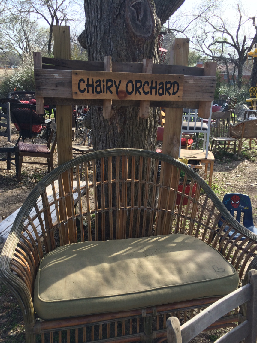 chairy orchard.jpg