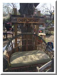 Chairy Orchard.JPG