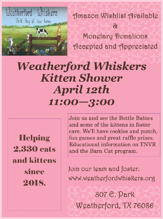 kitshower2025 (1).jpg