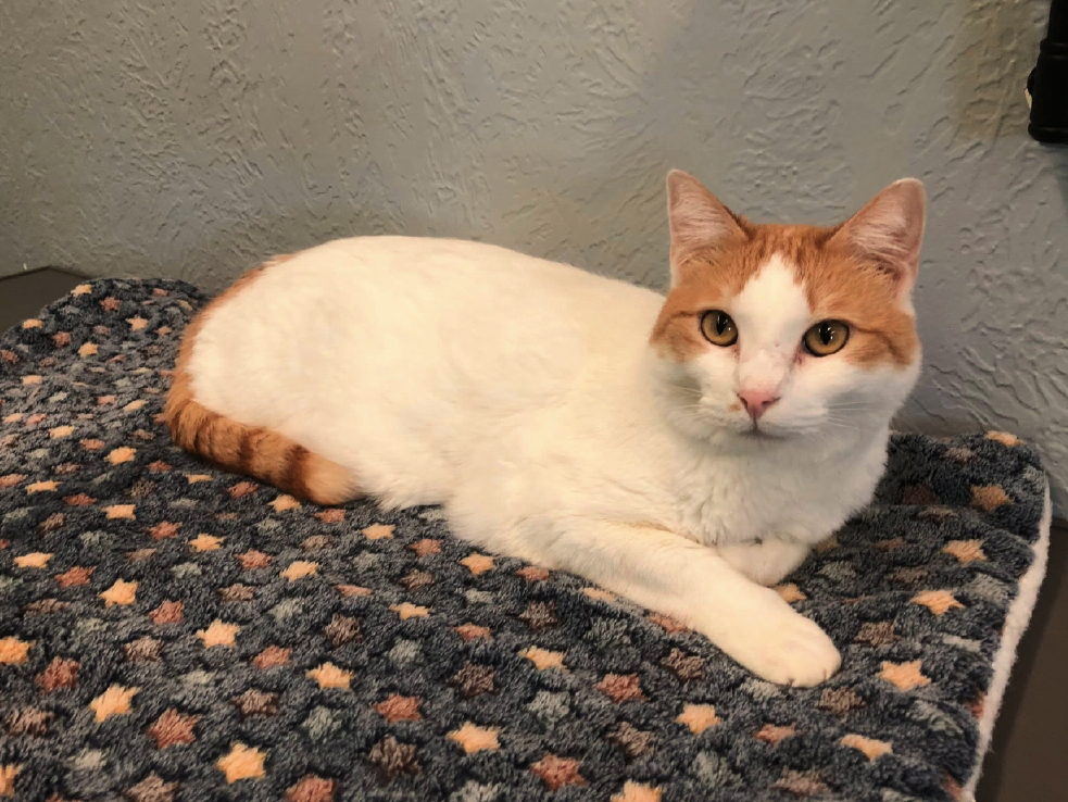 kitshower2025 (12).jpg