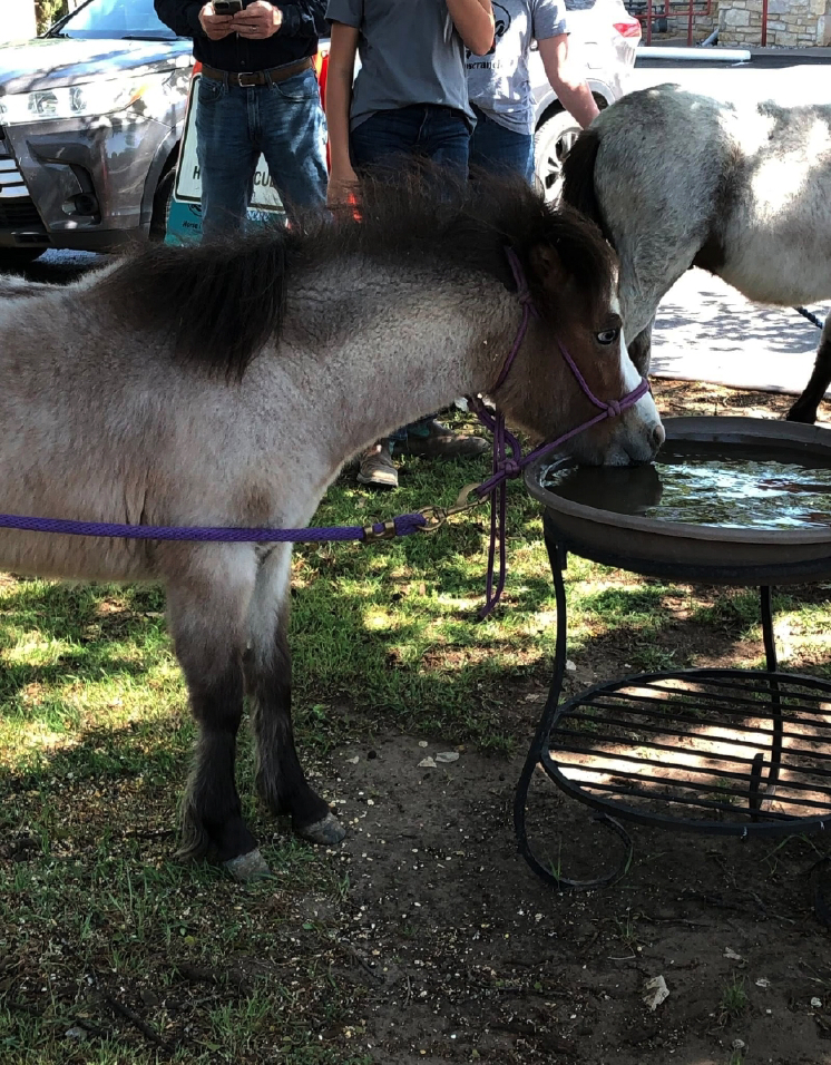 kitshower2025 (14).jpg