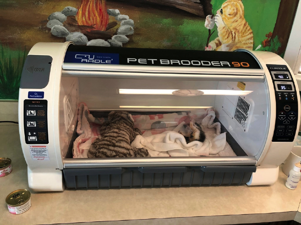 kitshower2025 (3).jpg