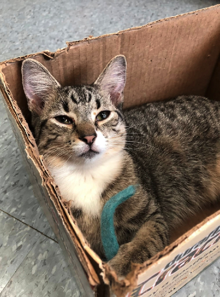 kitshower2025 (8).jpg