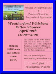 kitshower2025 (1).jpg