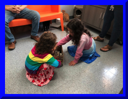 kitshower2025 (10).jpg