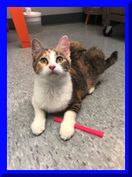 kitshower2025 (11).jpg