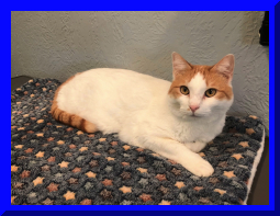 kitshower2025 (12).jpg