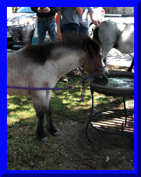 kitshower2025 (14).jpg