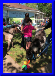 kitshower2025 (15).jpg