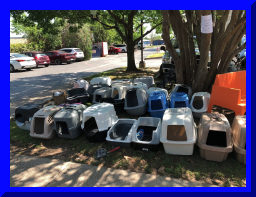 kitshower2025 (19).jpg