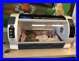 kitshower2025 (3).jpg