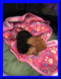 kitshower2025 (4).jpg