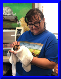 kitshower2025 (6).jpg