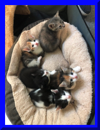 kitshower2025 (7).jpg