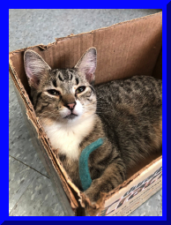 kitshower2025 (8).jpg