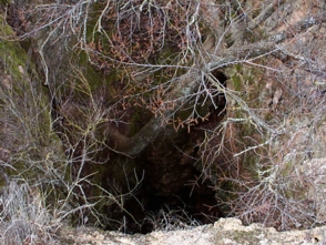 The Skylight (Above)